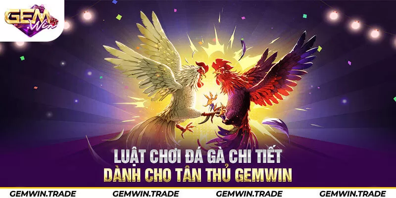 Luật chơi đá gà chi tiết dành cho tân thủ Gemwin