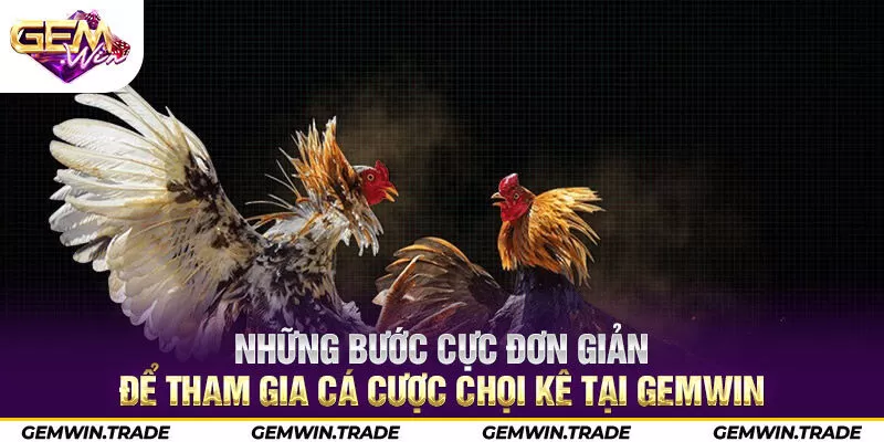 Những bước cực đơn giản để tham gia cá cược chọi kê tại Gemwin